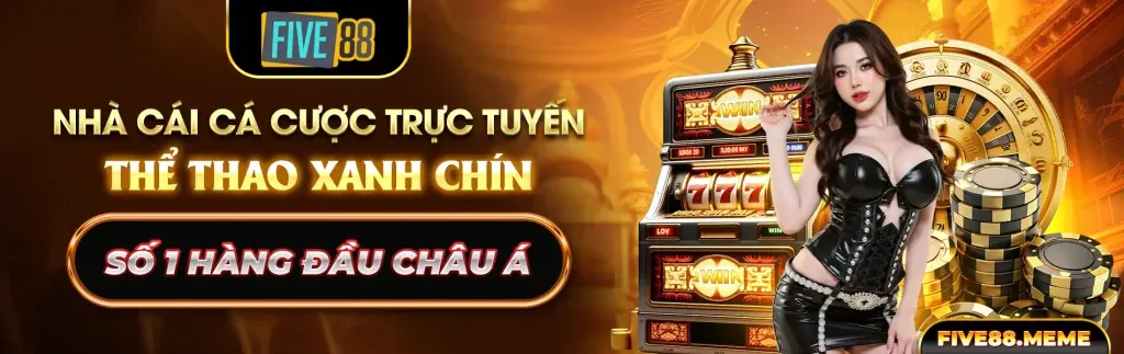 Các loại cookie được 1rr99 sử dụng để tối ưu hóa trải nghiệm người dùng